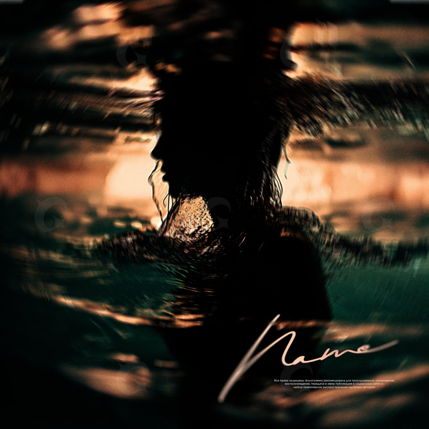 Silent water silhouette