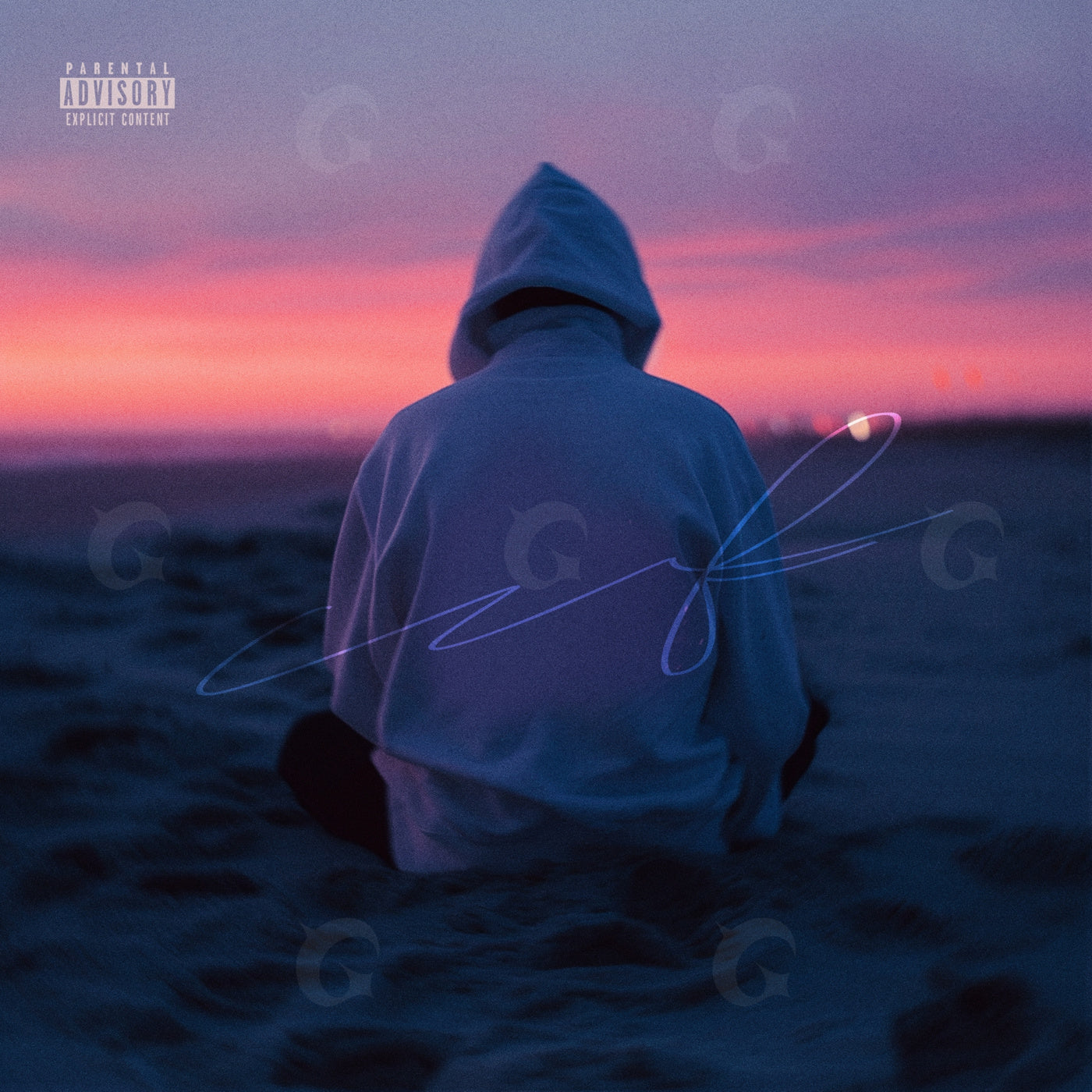 Hooded at dusk