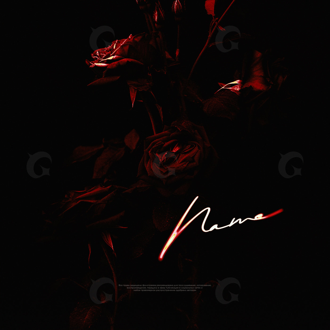 Midnight rose bouquet