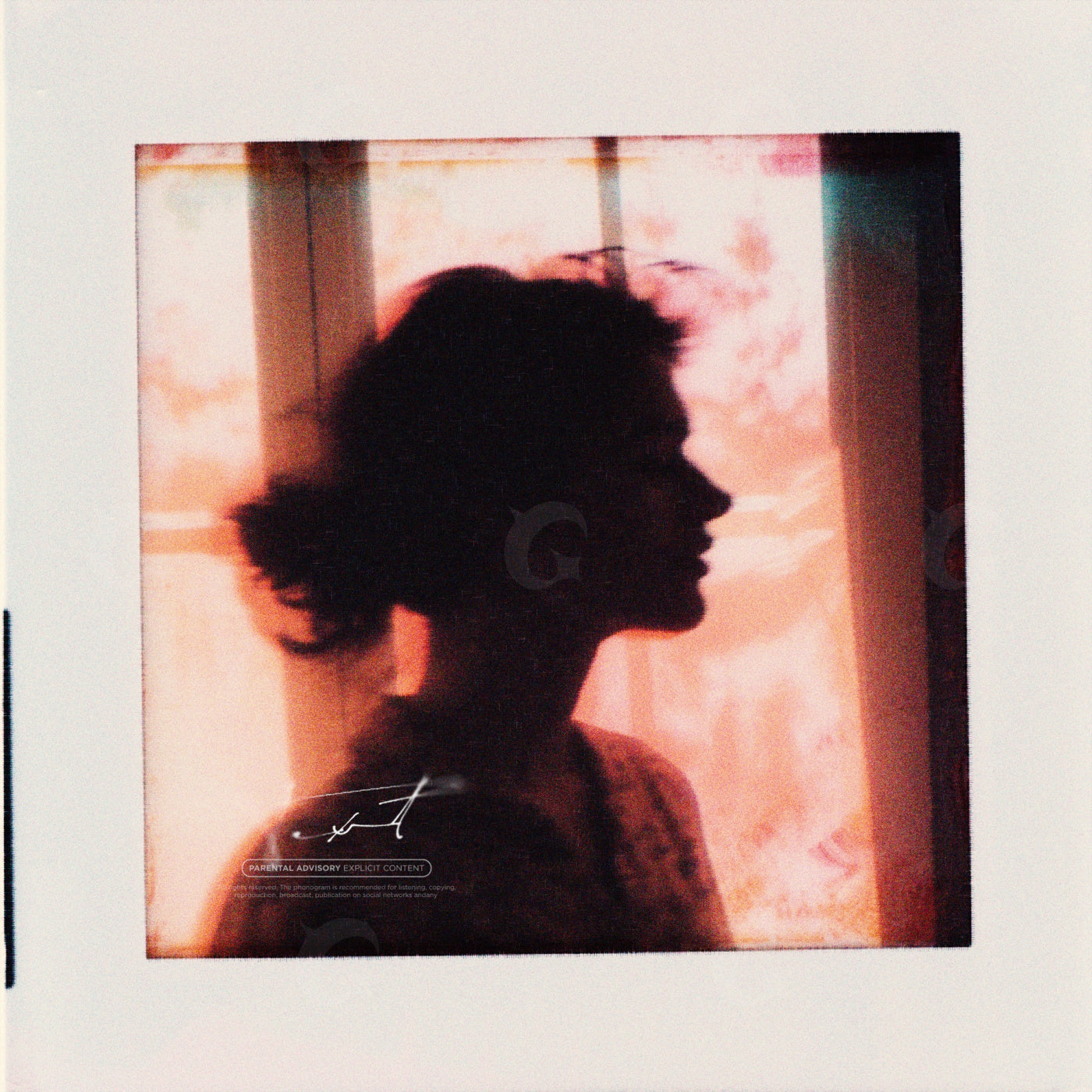 Silhouette by window