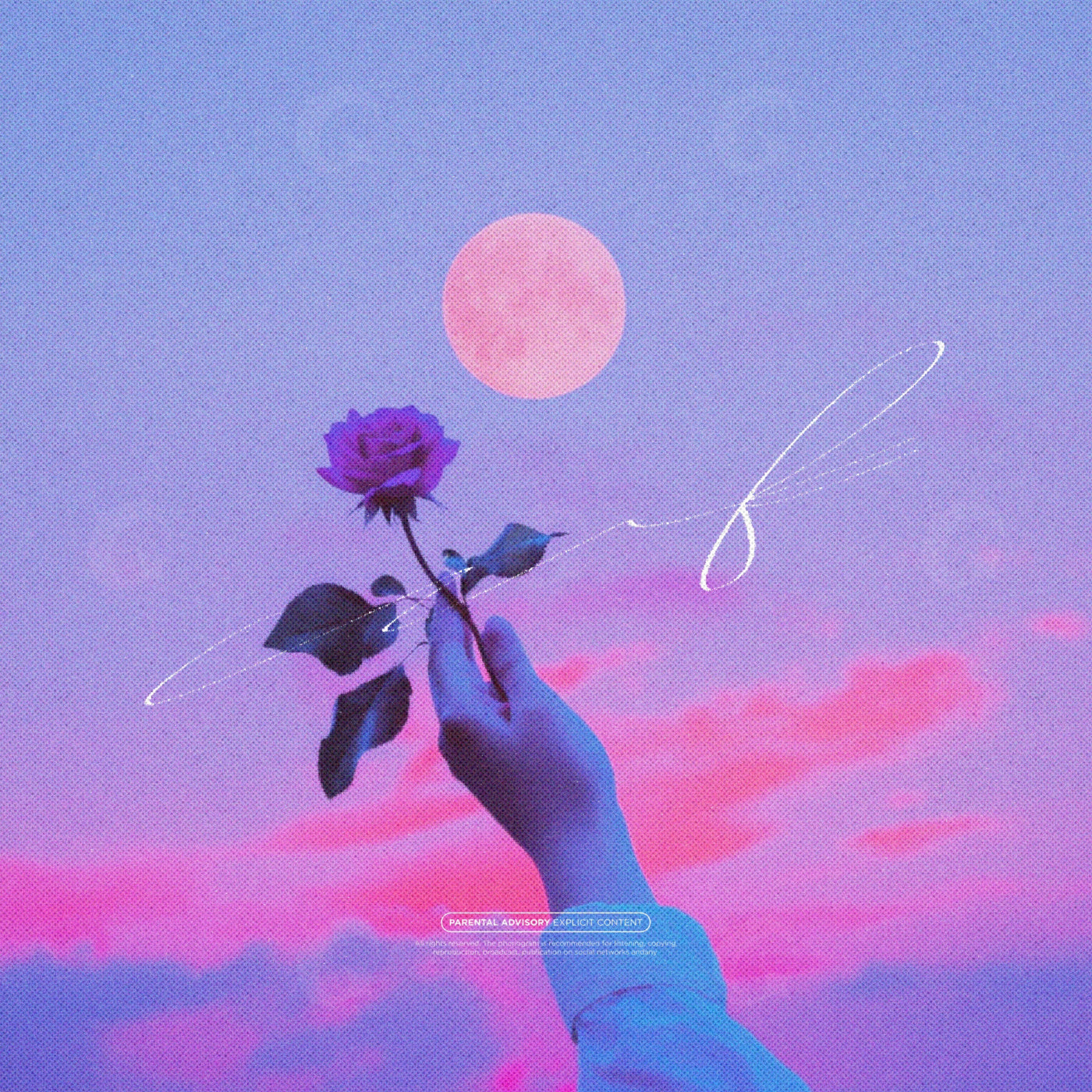 Moonlit rose offering