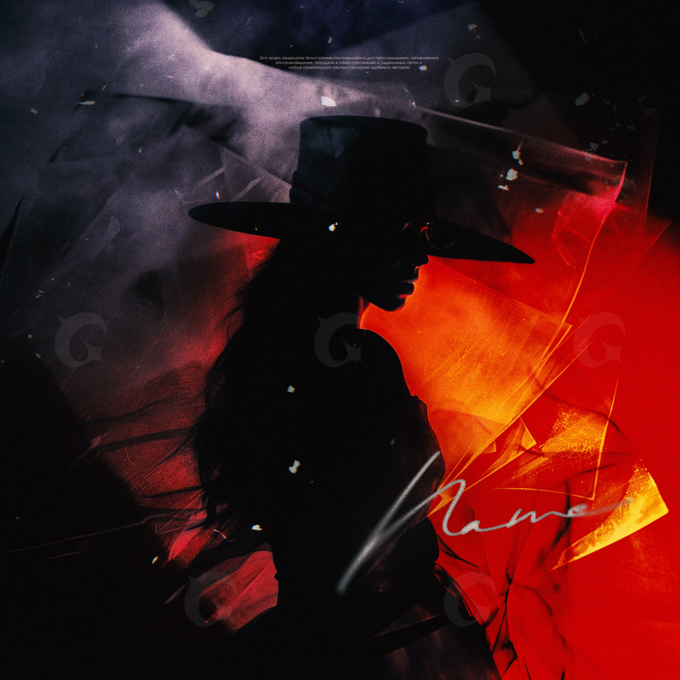 Shadowed woman withhat