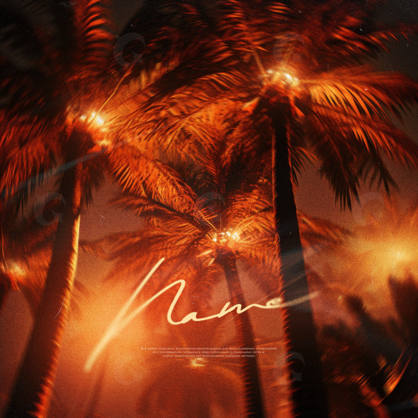Nighttime palm glow