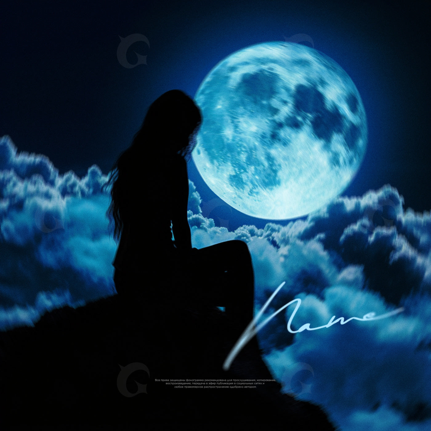 Moonlit silhouette night