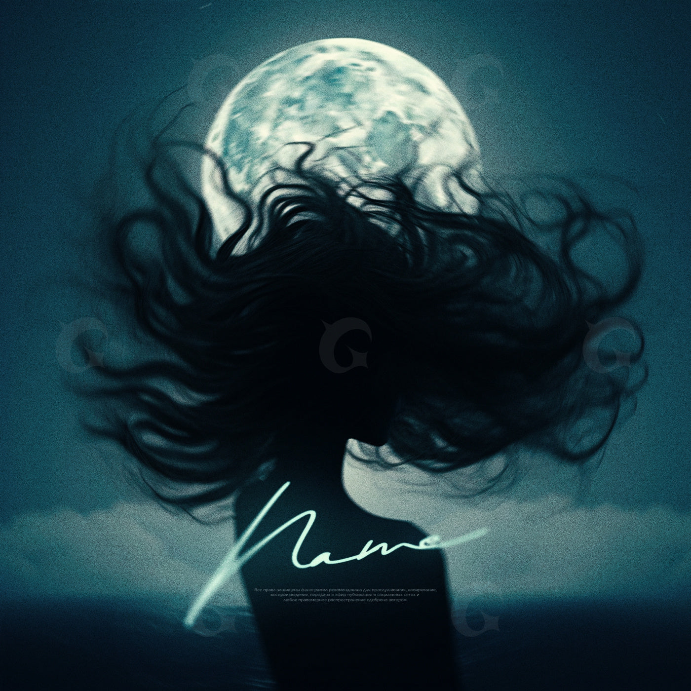 Moonlit hair silhouette