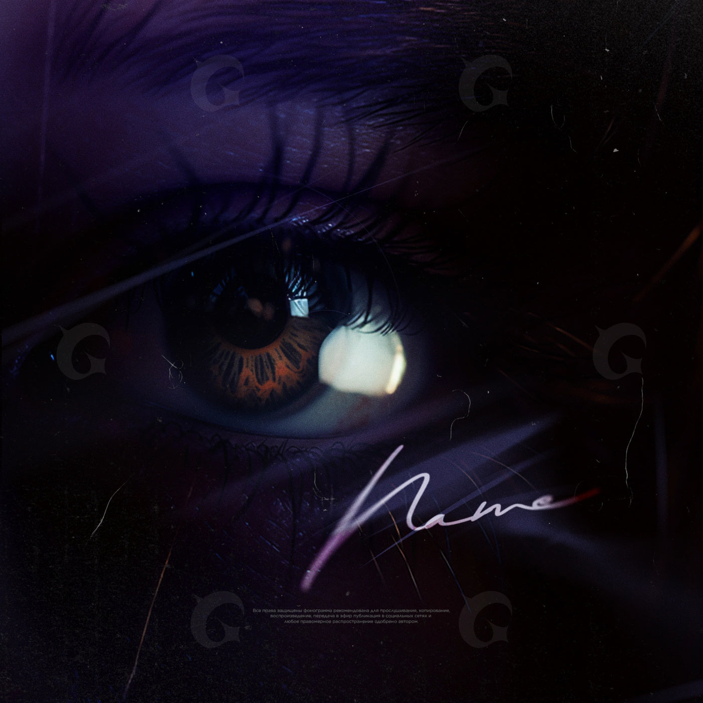 Iris night watch