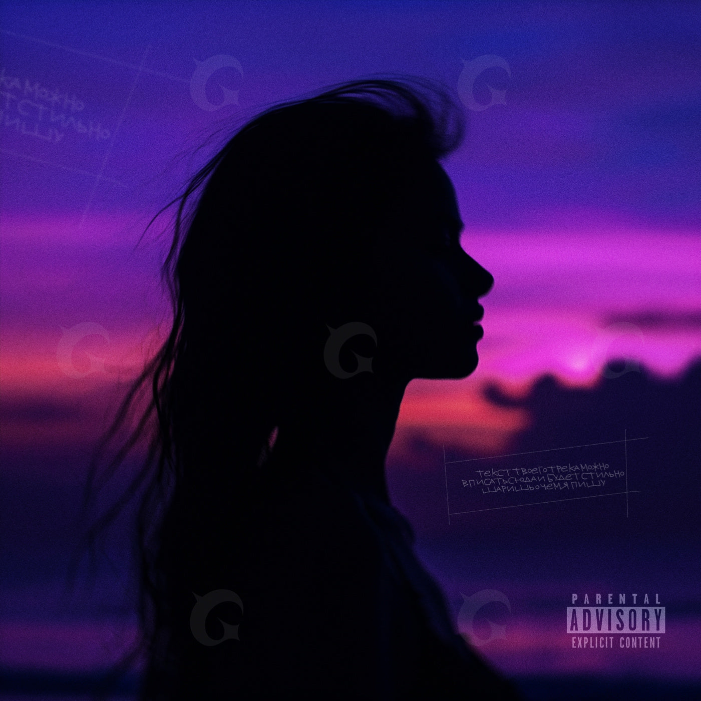 Silhouette against sunset