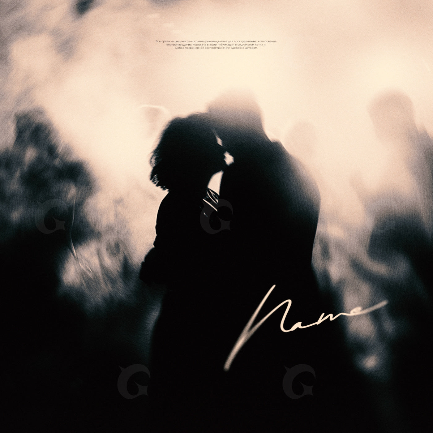 Midnight embrace silhouette