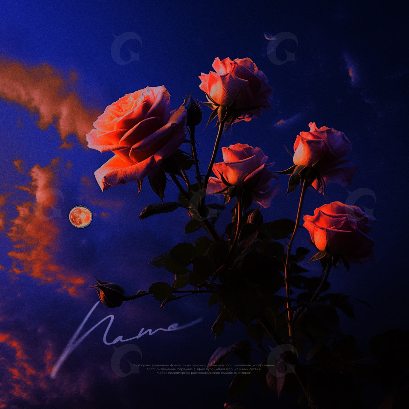 Moonlit rose bouquet