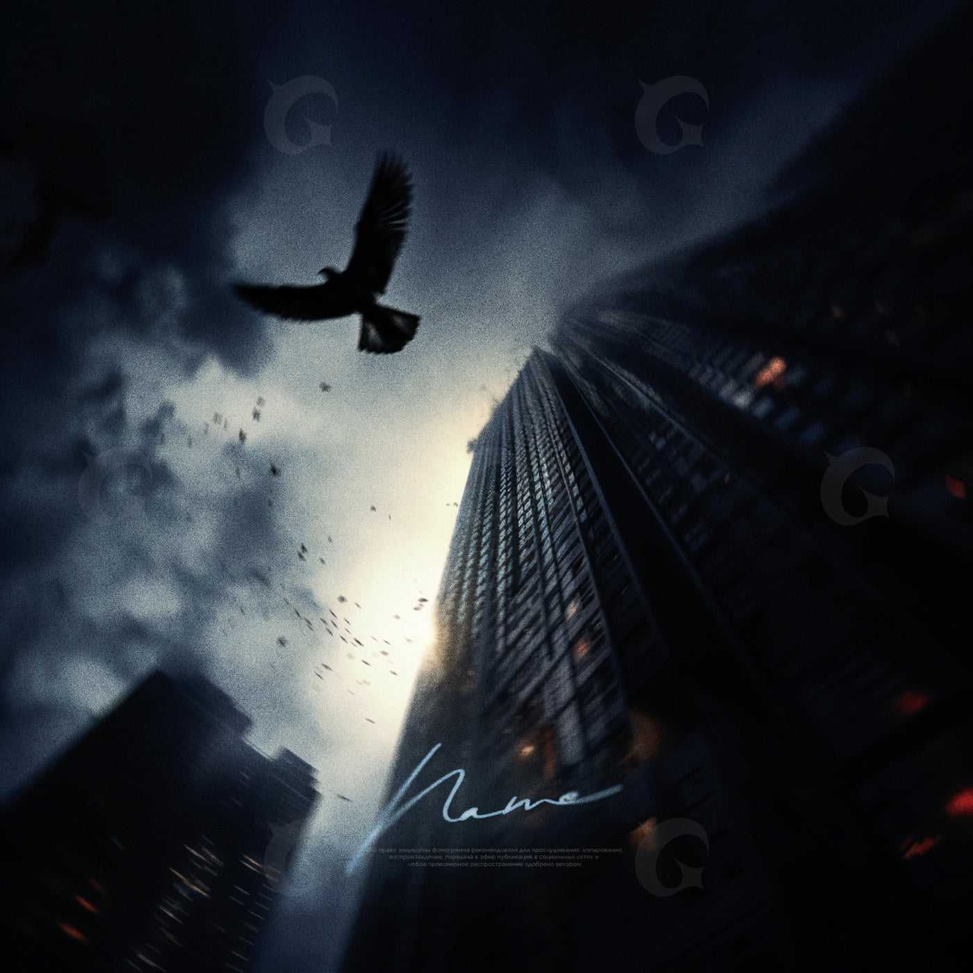 Skyscraper and flying crow
