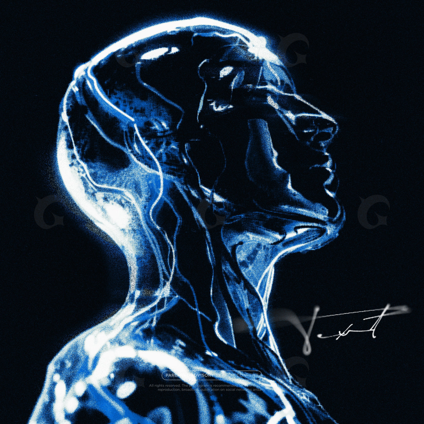 Neon anatomical head