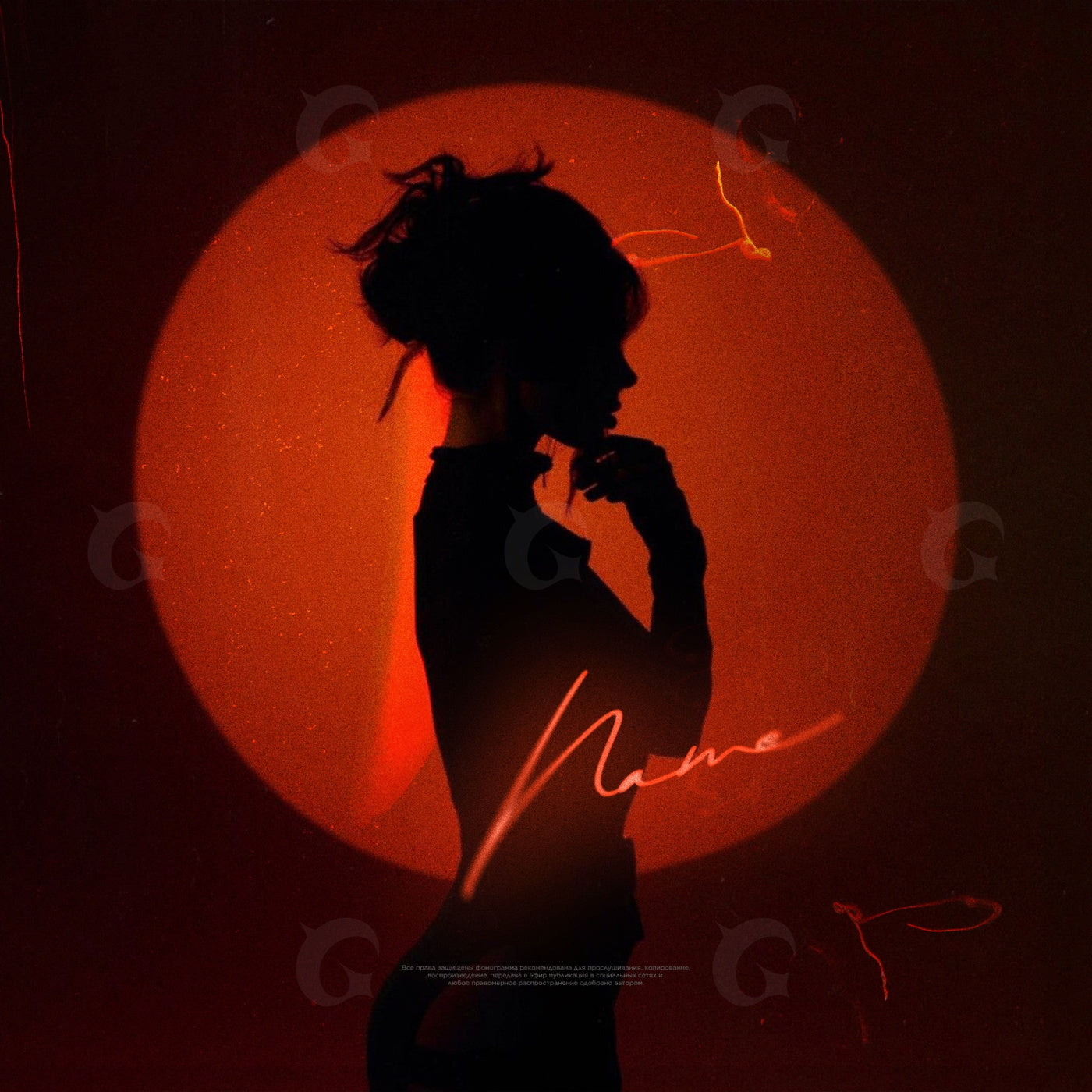Silhouette against circle