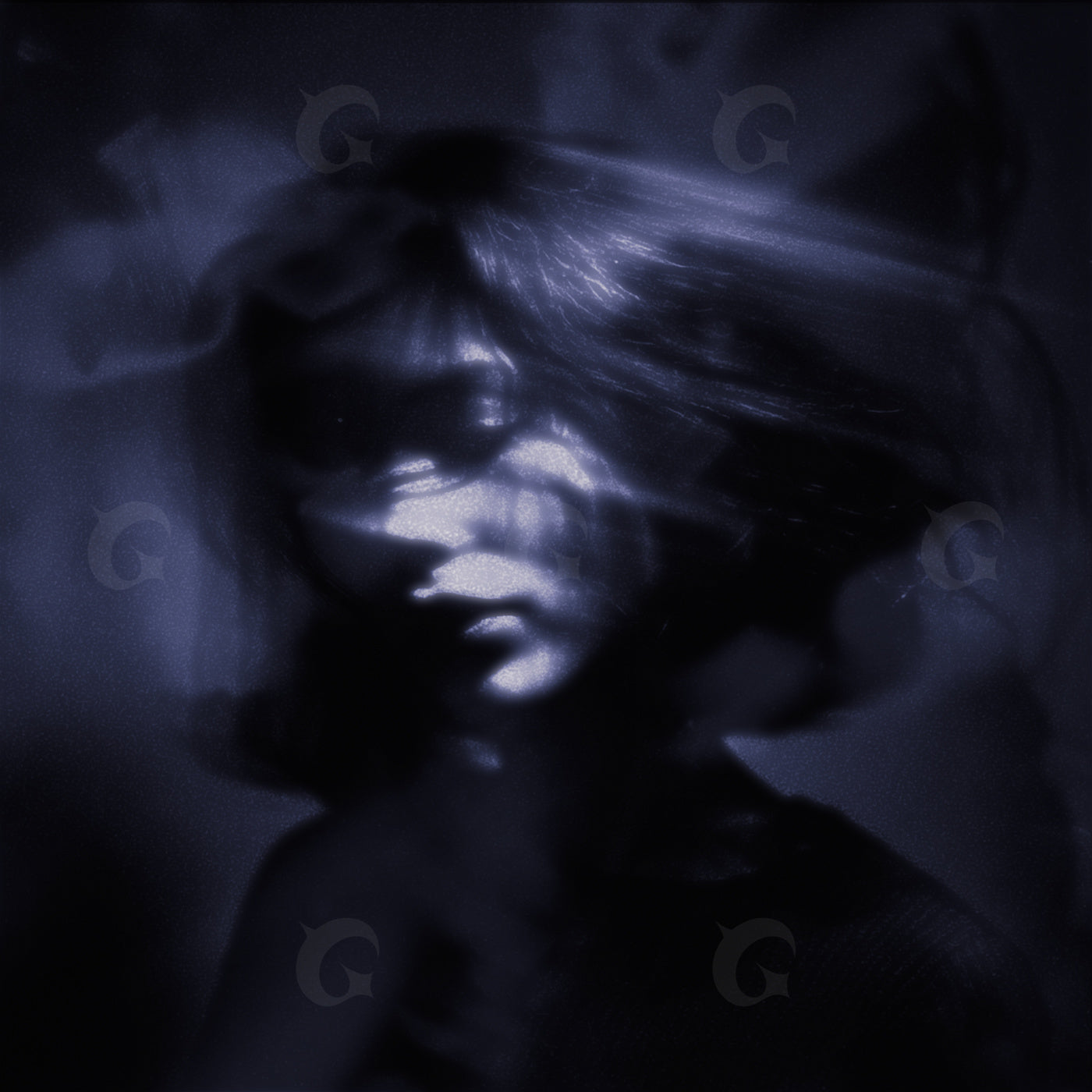 Whispered shadow portrait