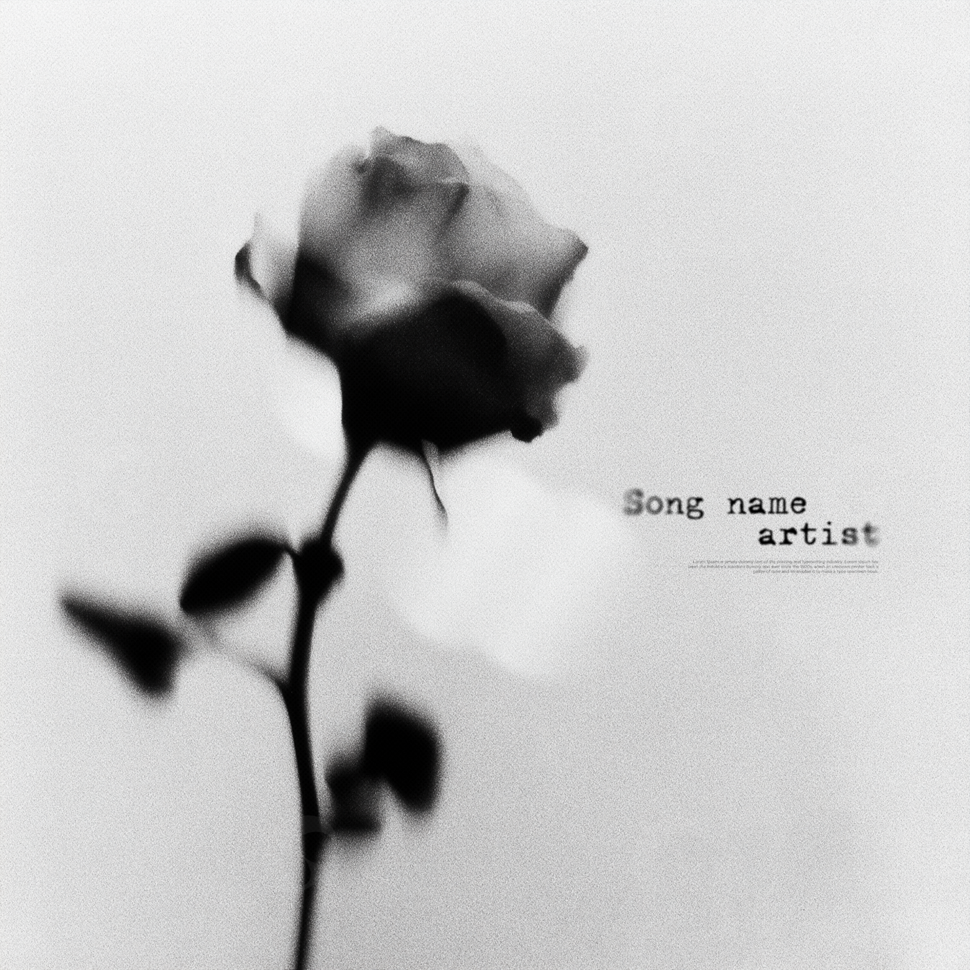 Fading rose silence
