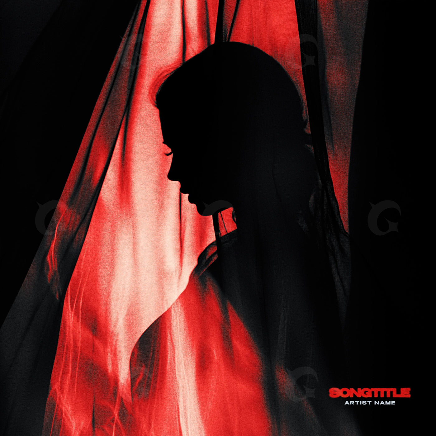 Silhouette behind draped veil