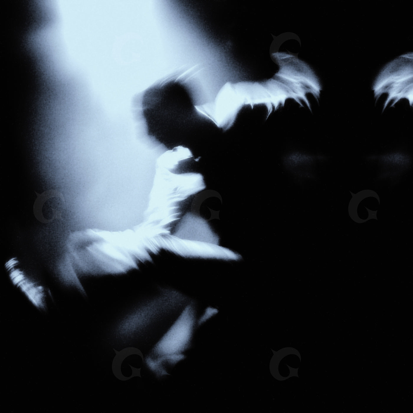 Midnight dancer flight