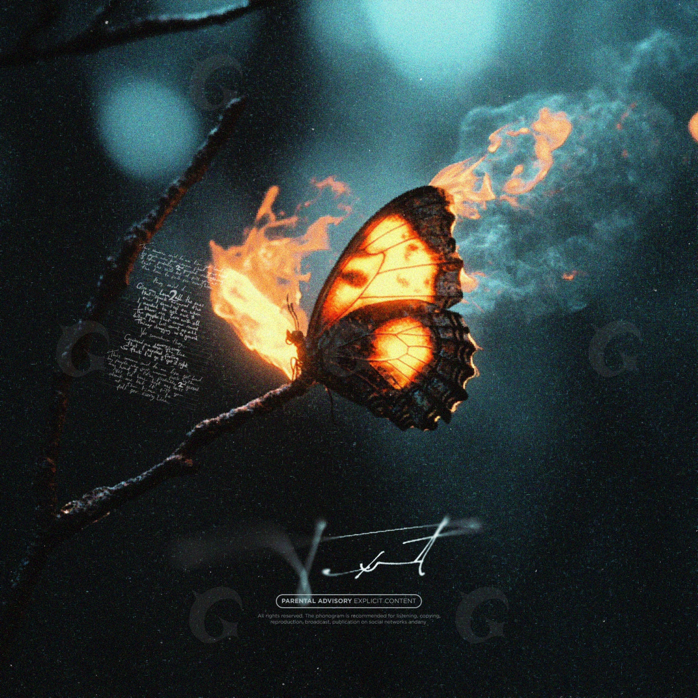 Burning butterfly night