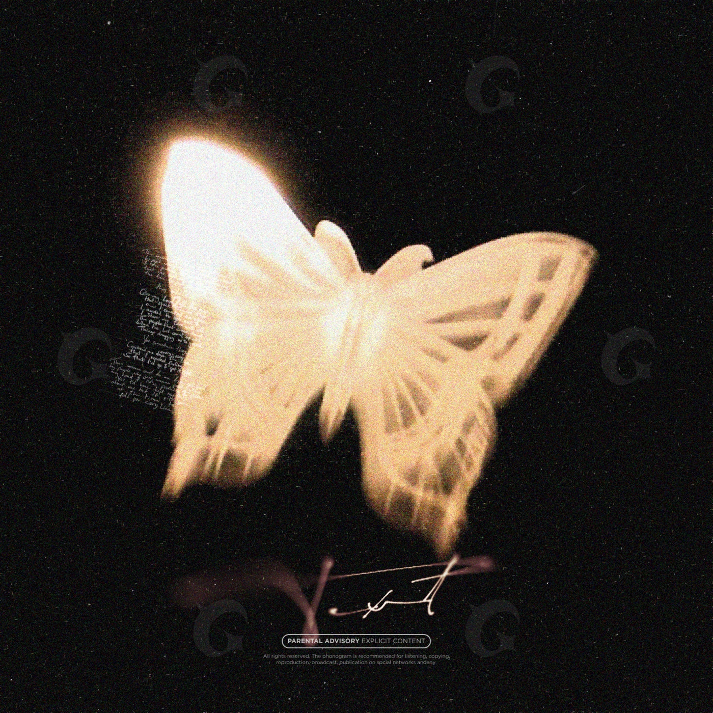 Midnight butterfly flight