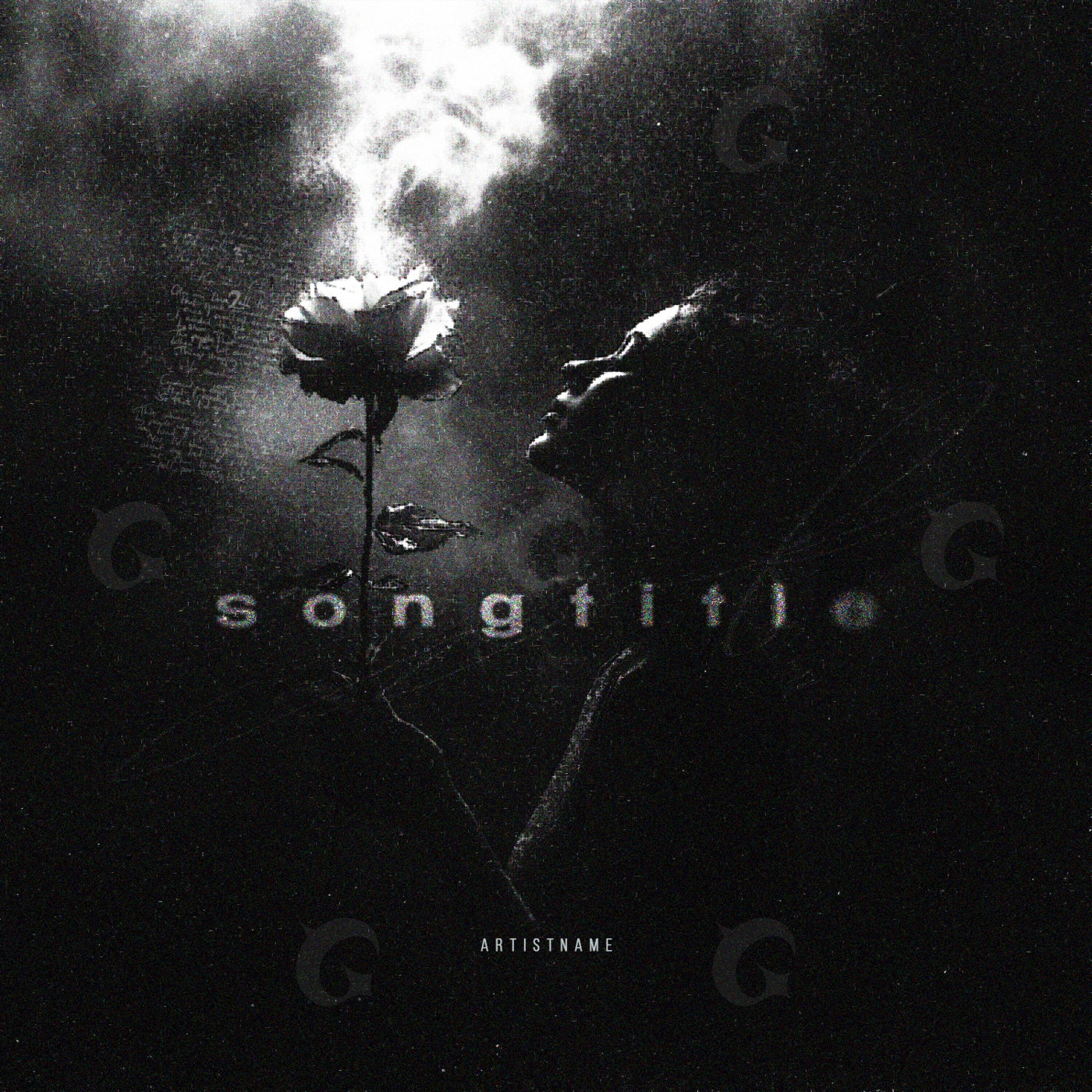 Whispering rose night