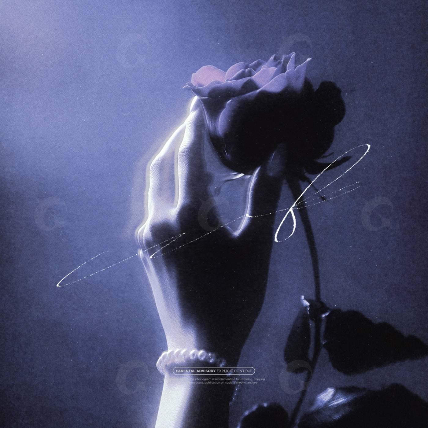 Fingers holding rose