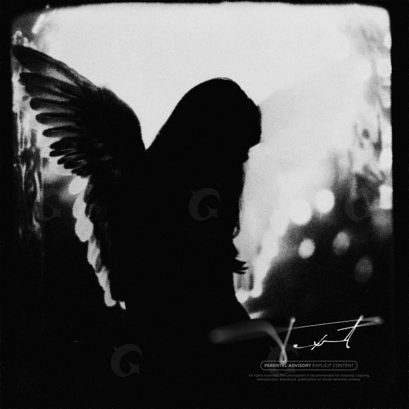 Shadowed angel wings