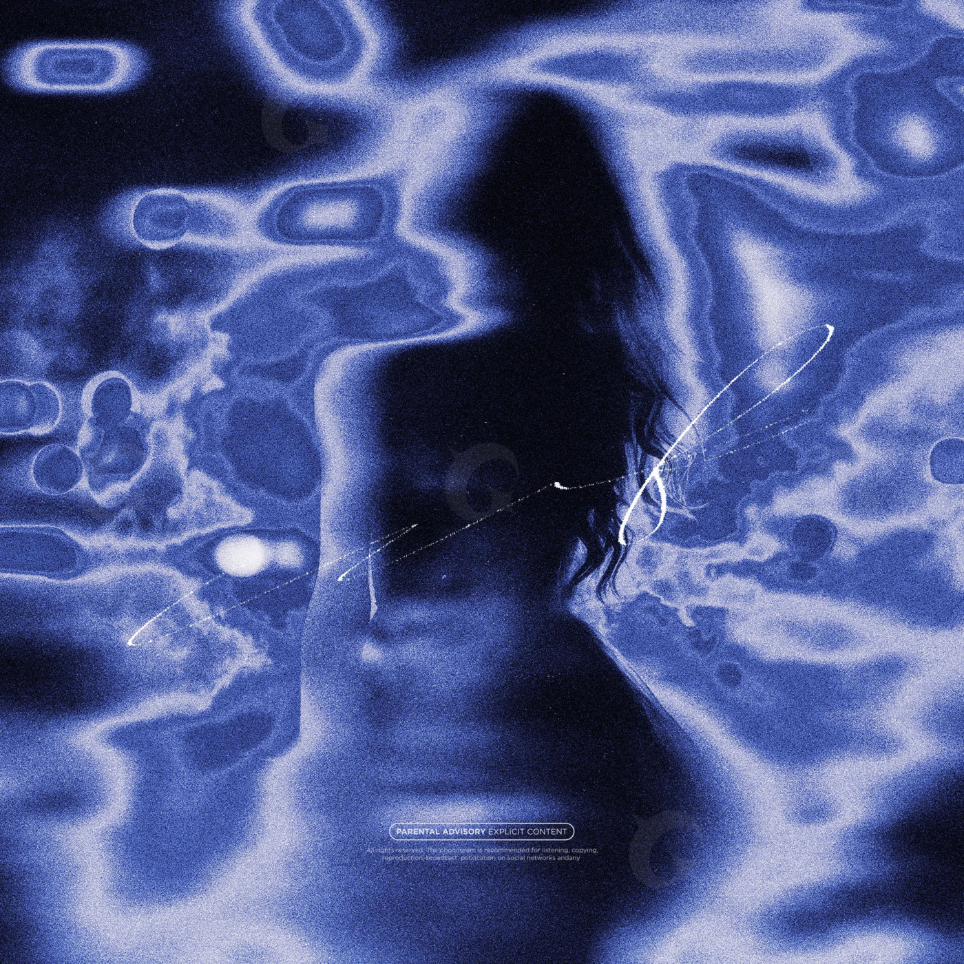 Silhouetted amid waves